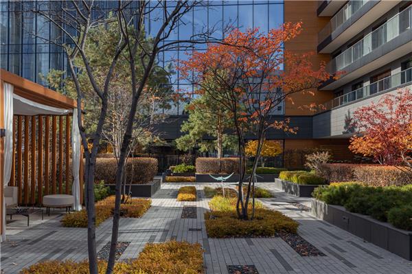 Kandinsky住宅庭院及屋顶花园 / Greenhance