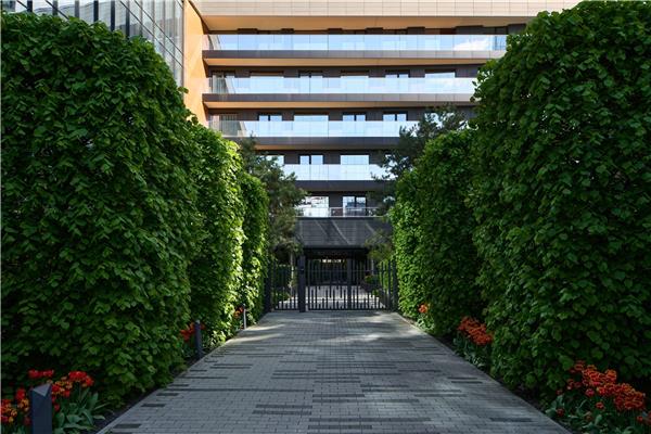 Kandinsky住宅庭院及屋顶花园 / Greenhance_3787068