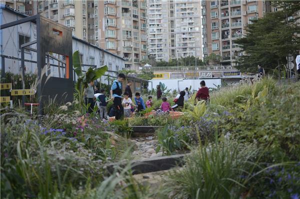 深圳笋岗火车花园 / 深圳市城市规划设计研究院有限公司·城市景观规划设计院_3787106