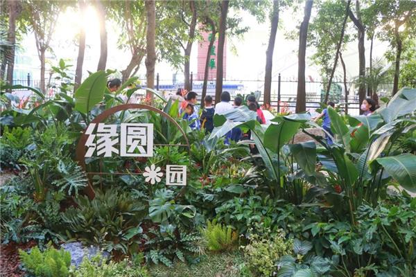 广东省深圳市粤海街道蔚蓝海岸社区共建花园 / 深圳市城市规划设计研究院有限公司·城市景观规划设计院