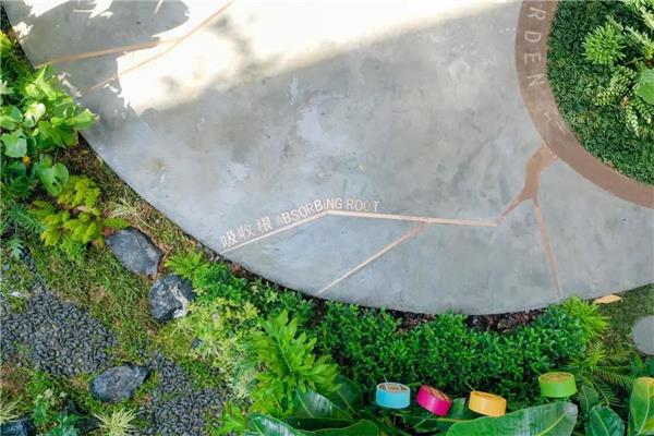 广东省深圳市粤海街道蔚蓝海岸社区共建花园 / 深圳市城市规划设计研究院有限公司·城市景观规划设计院_3787123