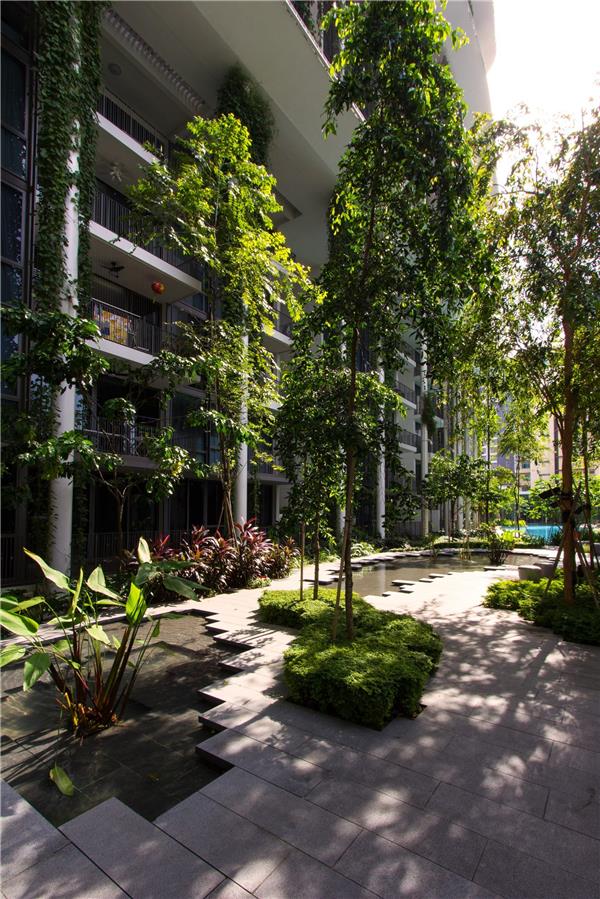 新加坡香灰莉雨林住宅景观设计 / Tierra Design (S) Pte Ltd_3787163