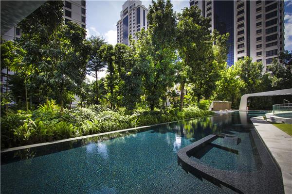 新加坡阿尔登摩尔住宅景观设计 / Tierra Design (S) Pte Ltd_3787171