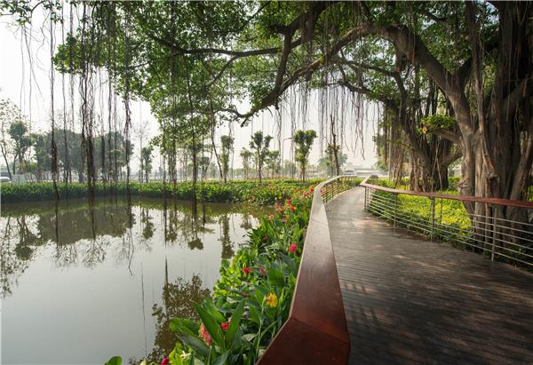 暹罗水泥集团曼谷新总部景观 SCG / Landscape Collaboration_3787176