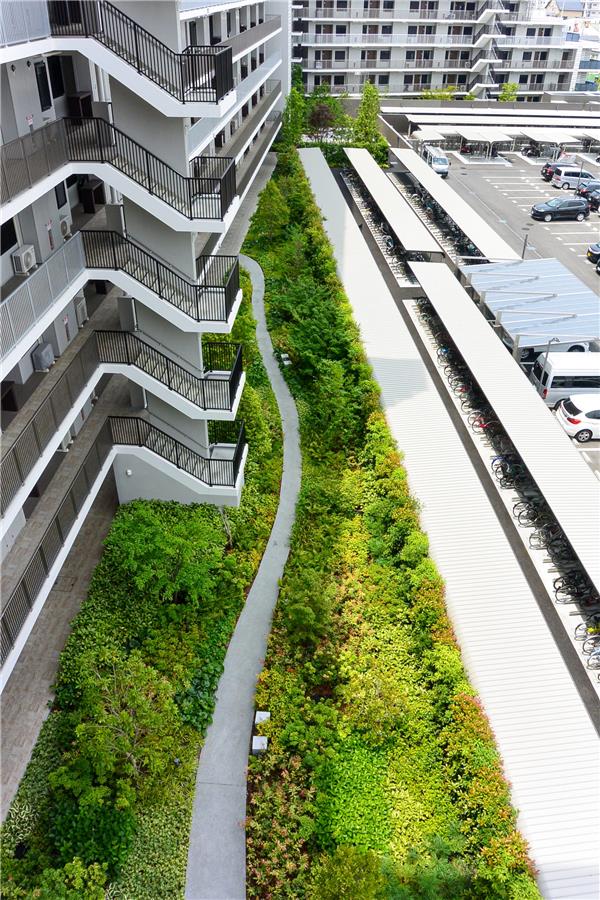 日本伊丹，绿意环绕的社区住宅 / OHTORI CONSULTANTS_3787557