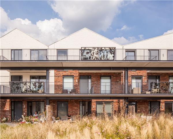 荷兰乡村社区住宅庭院景观 / Mecanoo_3787599