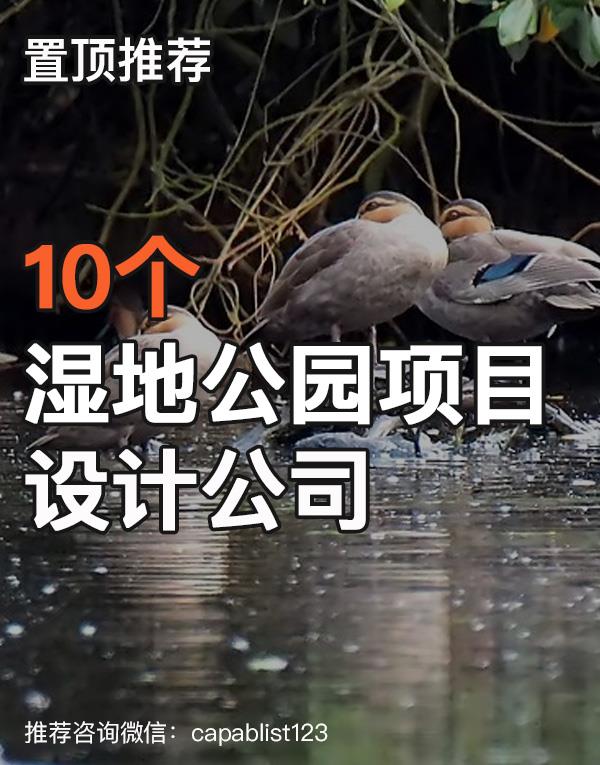 湿地公园设计公司#设计公司 #湿地公园设计公司 