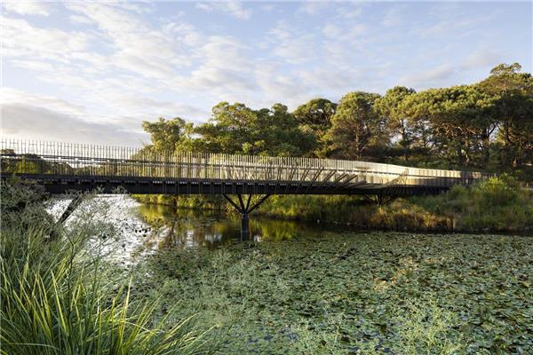 巴拉桥 / Sam Crawford Architects#SamCrawfordArchitects #人行桥 #桥梁枢纽 