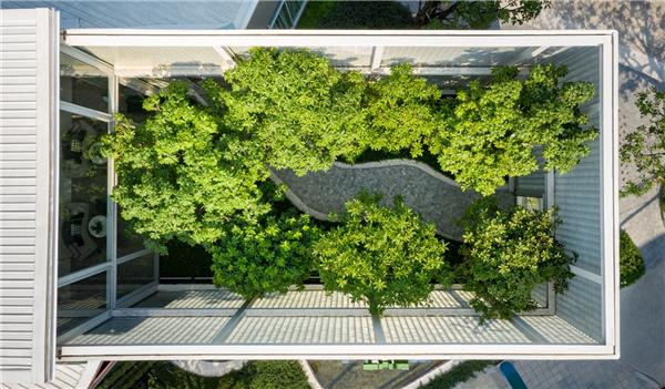 玻璃城堡，在曼谷中心打造一个花园售楼处 / Archismith Architects_3800537