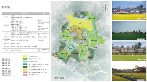 官塘国际会展小村景观设计 / 景虎景观 、 四川华泰众城工程设计有限公司_3804689