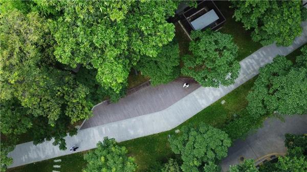 深圳市龙珠大道桃源村公交站旁口袋公园 / 未名设计WMLA#(奥雅设计)#(彩虹公园)#(长宁39街坊324丘绿地景观设计)#(长宁绿地景观)#(城市更新)#(城市公共空间)#(城市公共空间景观设计)#(城市公园景观设计)#(城市开放空间设计)#(地铁站公园)#(儿童成长空间)#(儿童活动场)#(儿童活动空间)#(儿童空间)#(儿童游乐场)#(儿童运动场地)#(公共景观)#(公共空间)#(公园)#(公园景观)#(公园景观设计)#(公园设计)#(户外活动区)#(花园景观设计)#(环球融创未来城HiPark公园)#(街边公园)#(街边公园设计)#(街角公园)#(街角公园案例)#(街角广场)#(街头公园)#(街头绿化)#(街头小游园)#(街心公园)#(街心花园)#(街心花园设计案例)#(景观建筑设计)#(景观小游园)#(景观装置设计)#(开放空间)#(开放空间景观)#(开放空间设计)#(口袋公园)#(口袋公园案例)#(口袋公园景观设计)#(口袋公园设计案例)#(口袋公园小尺寸)#(口袋公园小型)#(口袋花园)#(口袋空间)#(老旧社区改造设计案例)#(老旧社区公园的蜕变上海松江人乐花园)#(老旧社区景观改造案例)#(老社区景观改造)#(墓地)#(墓地公园)#(千纸鹤)#(青岛金茂中欧国际城街角公园)#(上海市优秀工程勘察设计一等奖昆小薇隐园耘圃稚趣街角口袋公园设计)#(上海亦境)#(社区公园案例)#(社区花园设计案例)#(社区景观)#(社区绿化)#(深圳蛇口东角头地铁站公园)#(微空间改造)#(未名设计)#(喜随设计)#(小场地设计)#(小尺寸口袋公园)#(小公园)#(小公园建筑设计案例)#(小公园景观设计)#(小绿化)#(小型公园)#(小型公园案例)#(小型口袋公园)#(小游园)#(小游园设计)#(休憩公园)#(休闲社区公园)#(沿街口袋公园)#(游园设计案例)#(折页)#(折纸)#(折纸公园)#(至岸园林)#(自然)