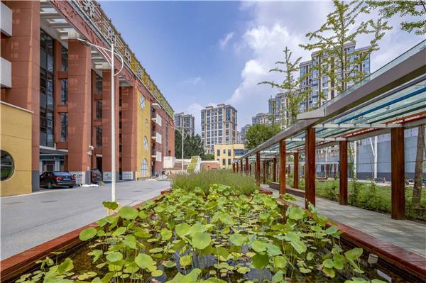 北京城市副中心芙蓉小学海绵校园更新景观设计 / WADI（瓦地）设计#校园景观设计 #学校公园景观设计 #WADI瓦地设计 