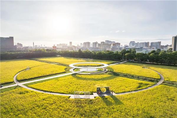 东坑稻田儿童公园 / 东大设计#儿童公园 #公园景观设计 #城市更新 