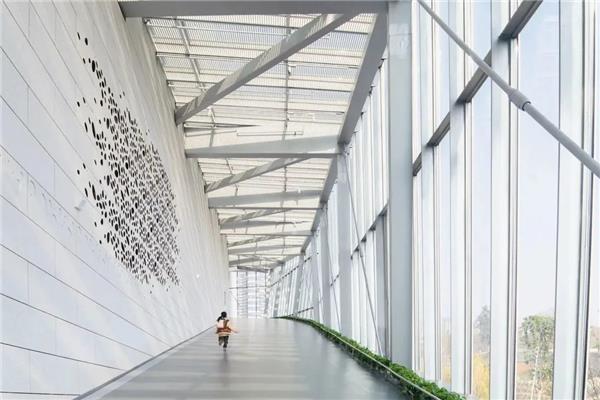 成都自然博物馆 / 佩里克拉克建筑师事务所_3805510