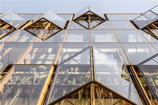 Uber 全球总部大楼 / Quezada Architecture、SHoP Architects_3810076