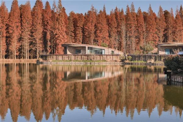君澜·金湖水上森林温泉度假酒店 / 中国美术学院风景建筑设计研究总院有限公司_3810376