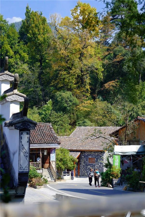 上饶市三清山百草园康养综合体建设项目及岭头山村秀美乡村提升工程建设项目设计、采购、施工总承包_3810377