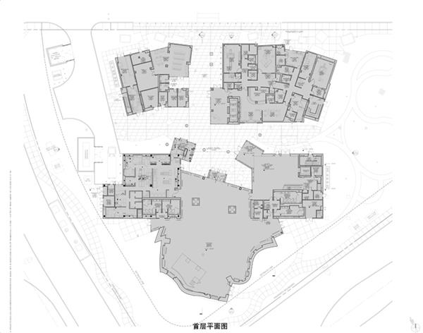 克利夫兰卢·鲁沃脑健康中心 /  Gehry Partners, LLP_3817100