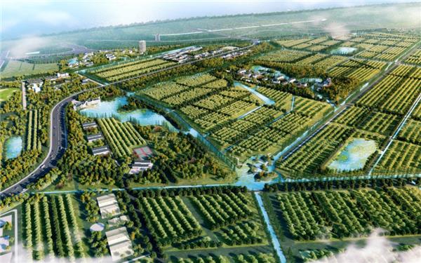 上海市长兴岛郊野公园设计 / 上海易城工程顾问股份有限公司#公园景观设计案例 #郊野公园规划设计 