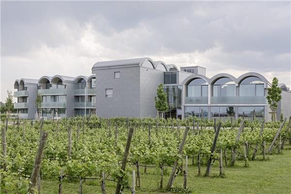 奥地利罗仙姆酒店扩建 / Steven Holl Architects_3829130