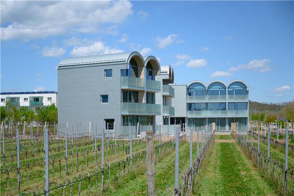 奥地利罗仙姆酒店扩建 / Steven Holl Architects_3829130