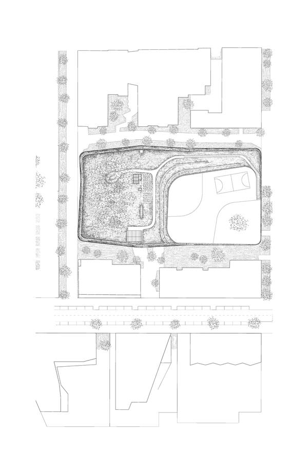 生物多样性小学和体育馆_3860345