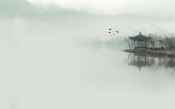 动态壁纸_2683263