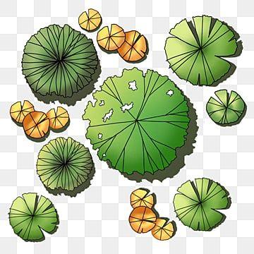 #(彩色平面图)#(插画工业景观效果图)#(画景观树)#(建设设计)#(建筑配景)#(景观)#(景观设计)#(景观树)#(景观园林图纸画树)#(配景)#(配景树)#(手绘树)#(树平面)#(植物画法)#(彩平)#(彩平图手绘)#(画树)#(建筑)#(建筑画)#(建筑画树)#(建筑画—树)#(建筑手绘)#(景画园林设计)#(设计)#(手绘)#(树)#(树的画法)#(庭院手绘效果图)#(园林手绘平面图)#(怎么画景观平面图)