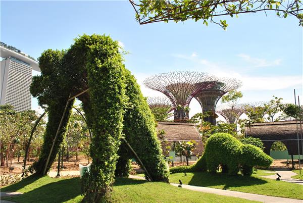 新加坡海湾花园-园林景观_415789