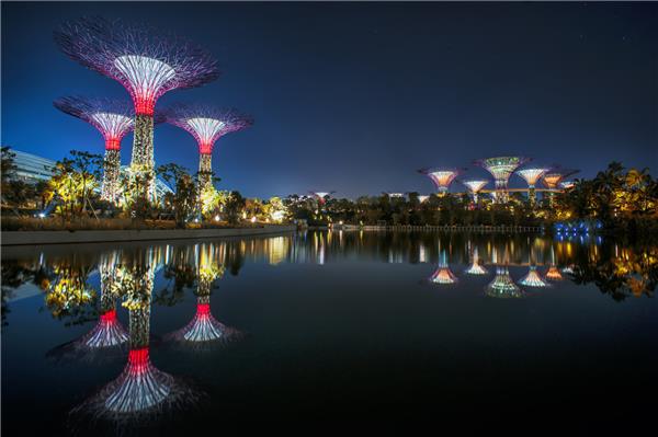 新加坡“海湾花园”-园林景观_415790