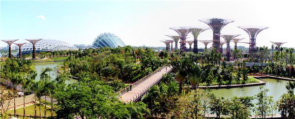 新加坡海湾花园-园林景观_415791