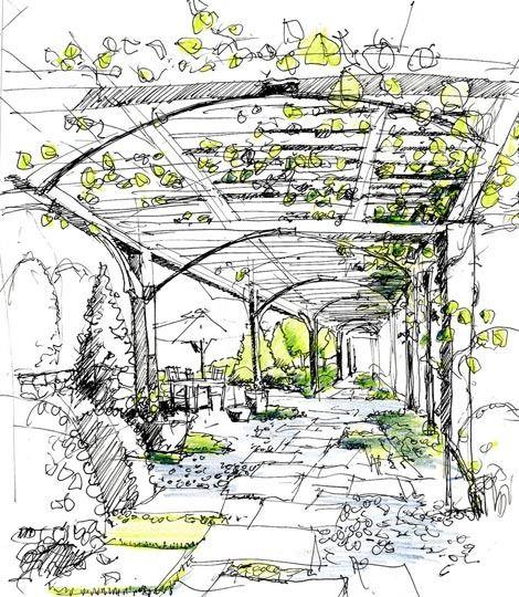 #(画景观树)#(建设设计)#(手绘树)#(建筑)#(建筑画)#(建筑画—树)#(建筑手绘)#(设计)#(手绘)#(树)