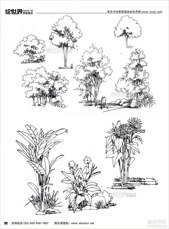 #(画景观树)#(建设设计)#(手绘树)#(建筑)#(建筑画)#(建筑画—树)#(建筑手绘)#(设计)#(手绘)#(树)