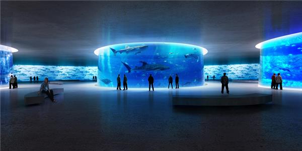 纽约水族馆_420332