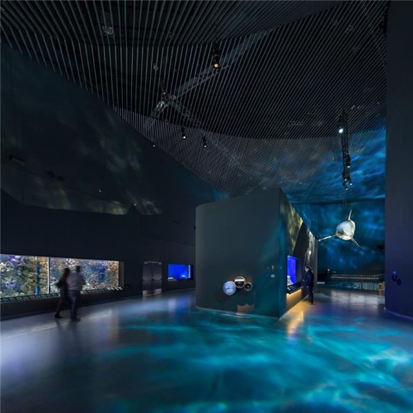 蓝色星球水族馆_420742