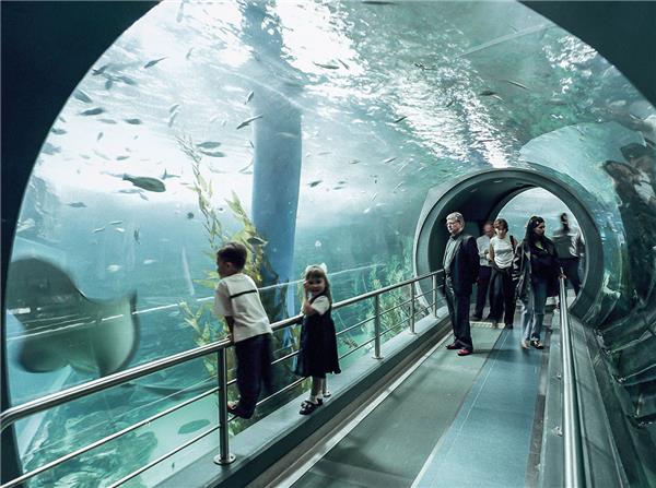 墨尔本水底世界水族馆_420807