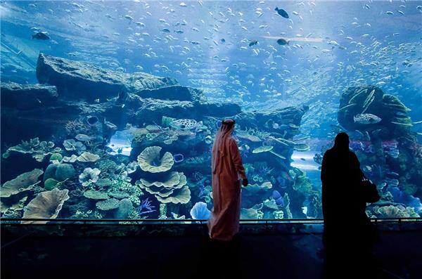 迪拜购物中心水族馆_420812