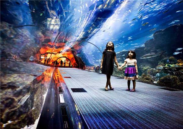 迪拜购物中心水族馆_420812