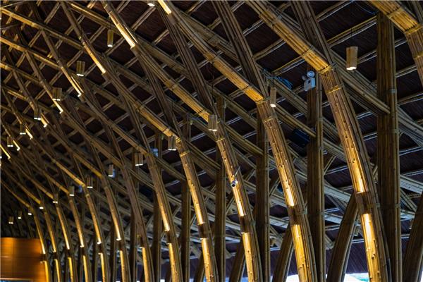 Flamingo Bamboo Pavilion/BambuBuild-建筑设计_428210