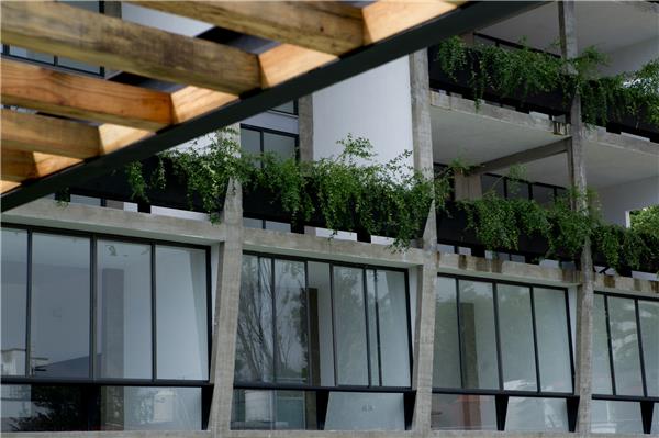 NT24 / Aflo Arquitectos_429167