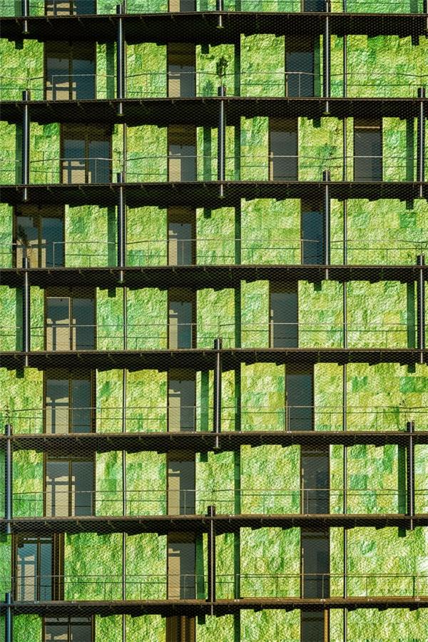 恢复城市生物多样性的 种子塔楼 / Maison Edouard Francois_446039