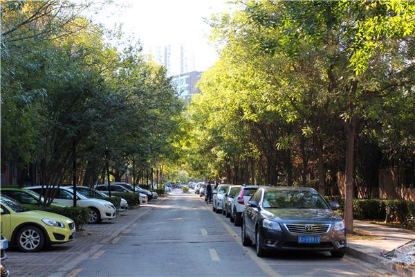 天津万科水晶城改造修建性详细规划实地拍摄 / 岁月静好
