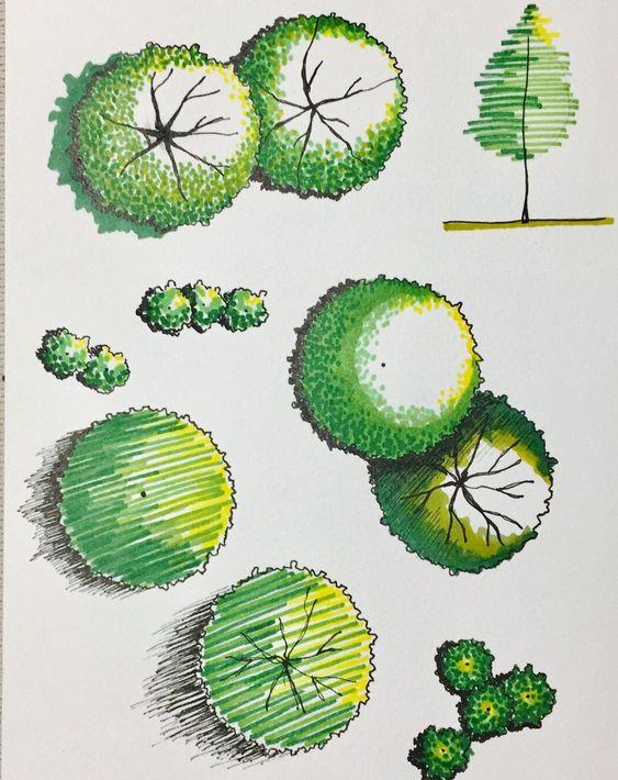 #(彩色平面图)#(插画工业景观效果图)#(画景观树)#(建设设计)#(建筑配景)#(景观)#(景观设计)#(景观树)#(景观园林图纸画树)#(配景)#(配景树)#(手绘树)#(树平面)#(植物画法)#(彩平)#(彩平图手绘)#(画树)#(建筑)#(建筑画)#(建筑画树)#(建筑画—树)#(建筑手绘)#(景画园林设计)#(设计)#(手绘)#(树)#(树的画法)#(庭院手绘效果图)#(园林手绘平面图)#(怎么画景观平面图)