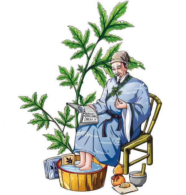 (包装设计)#(品牌设计)#(艾草)#(艾叶)