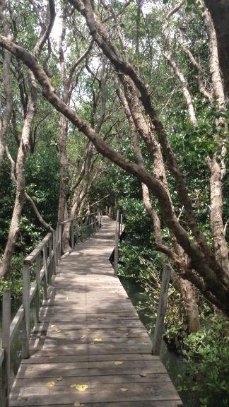 #(驳岸公园)#(登山栈道)#(观景台)#(河滨公园)#(河道景观)#(河道设计)#(河道栈道)#(邻水栈桥)#(木栈道)#(瀑布 栈道)#(亲水)#(人行步道)#(森林木栈道)#(树林栈道)#(休闲步道)#(硬质驳岸)#(栈道效果图)#(栈桥)#(滨水栈道)#(驳岸)#(步道)#(公园栈道)#(河)#(河岸)#(河道景观效果图)#(景观栈道)#(亲水栈道)#(森林栈道)#(树林景观)#(栈道)#(栈道设计)