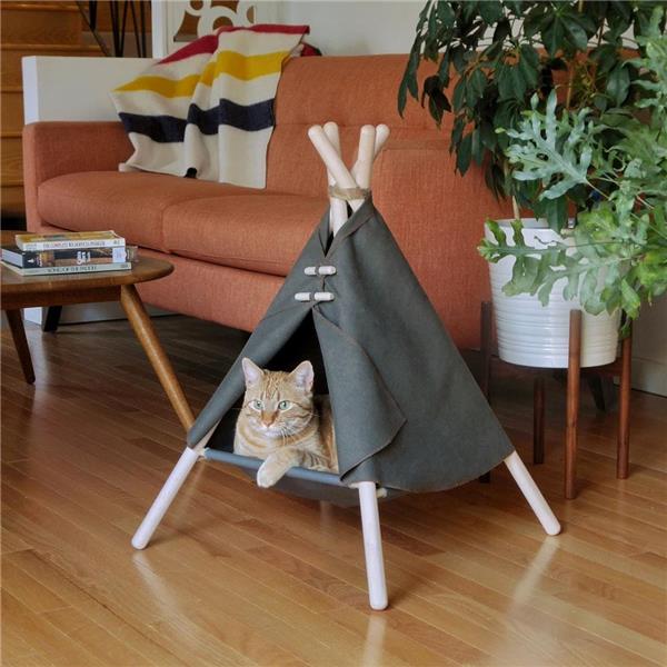 猫喜欢的树