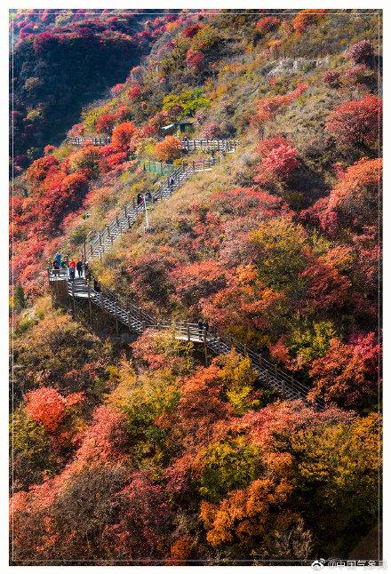 山东省潍坊市黄花溪旅游景点_664944