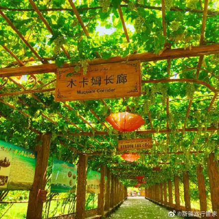 新疆吐鲁番葡萄沟旅游景点