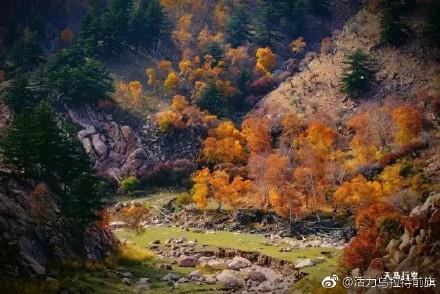 内蒙古自治区巴彦淖尔市乌拉山国家森林公园旅游景点_701480