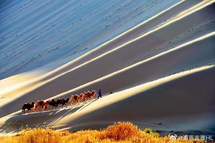 内蒙古自治区阿拉善地区巴丹吉林沙漠旅游景点#内蒙古景点 #生物景观 #国内旅游景点推荐 